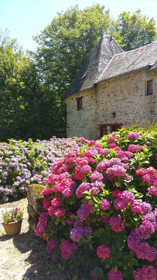 Chateau De Bellefond Lagraulière 外观 照片